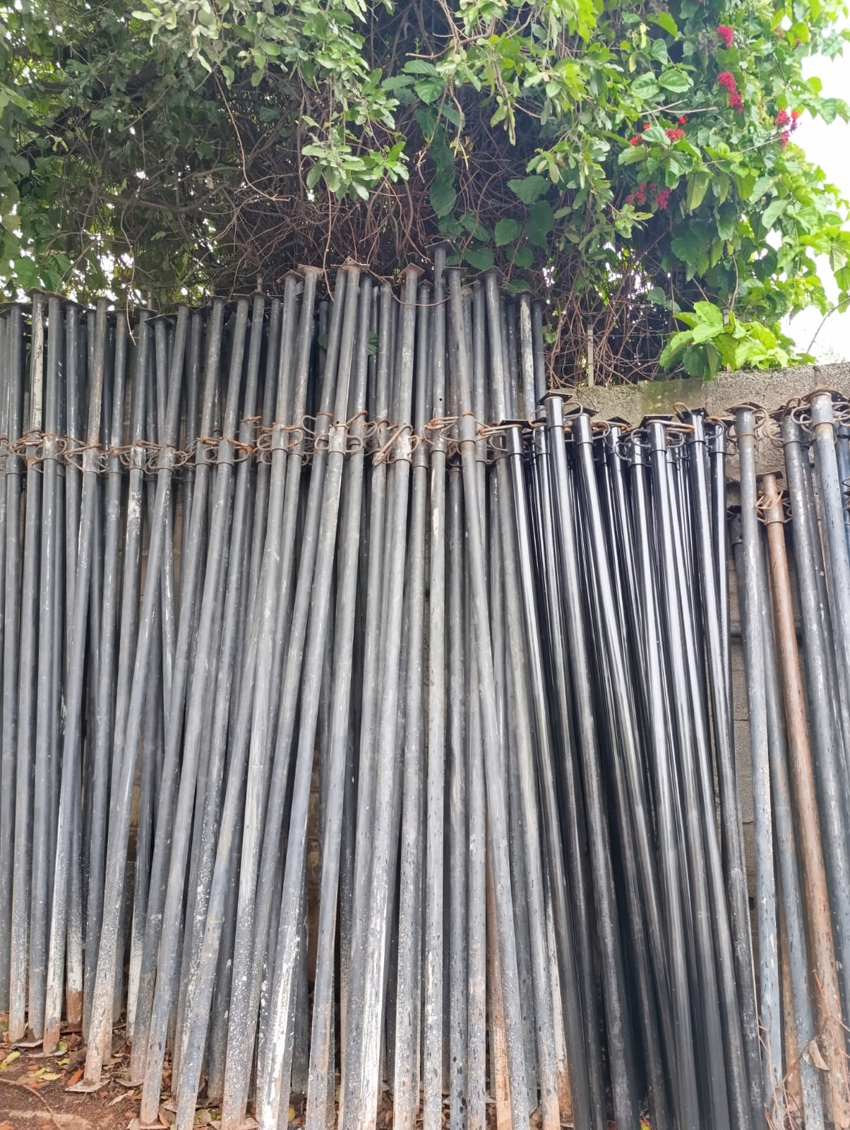 Escoramento de Lajes Metálicas